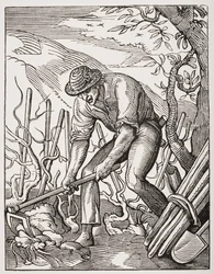 De wijnboer, naar een gravure van Jost Amman (1539-91) uit 